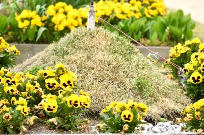 ♪群馬良いとこ～一度わ～おいで♪ﾁｮｲﾅﾁｮｲﾅ♪　群馬の〆は！☆素敵なお花達☆＆♪ｳﾏｳﾏもつ煮♪へ Let's Go！！　最終日