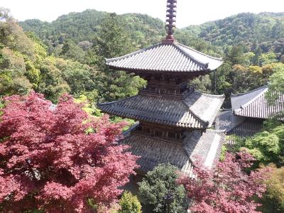 クロスカブで西国観音巡り　10日目　第26番　一乗寺から姫路城