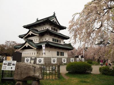 2021弘前城の桜を見に来た