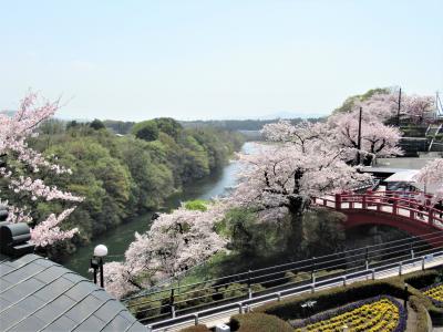 ながめ公園と異国調菜「芭蕉」　