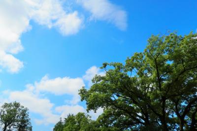 練馬区・武蔵関公園～新緑のお散歩～