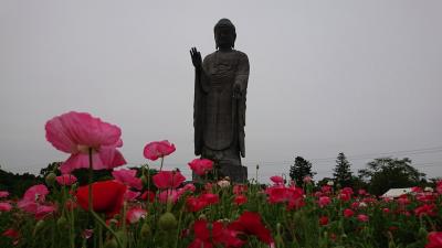 牛久大仏とエヴァンゲリオン