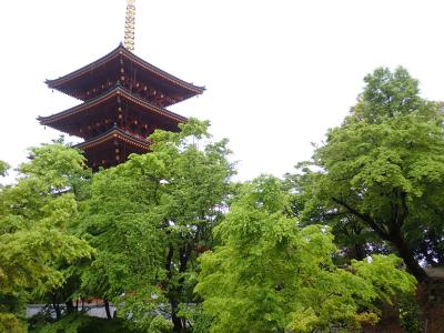 クロスカブで西国観音巡り　12日目　第28番　成相寺