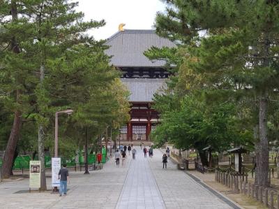 奈良へ一泊二日のおとな旅に行って来ました！　1日目春日大社・東大寺編です