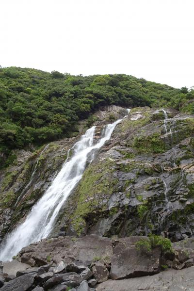 屋久島へ行ってきました③