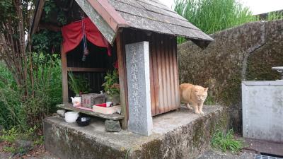 高知市 鏡川を自転車でさんぽ