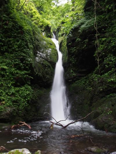 鳥取県日帰り滝めぐり（１）　滝メグラーが行く２３０　日本の滝百選・雨滝と雨滝渓谷の滝　鳥取市国府町