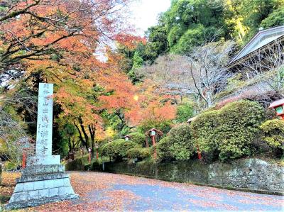 1Rゴルフ＆観光旅行～～♪♪（鶴CC～SL大樹号＠鬼怒川温泉駅～龍王峡～出流山満願寺～宇津野洞窟～道の駅どまんなかたぬま）