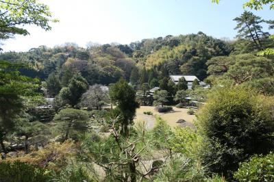 春の伊豆長岡♪　Vol.14　☆三養荘：広大な美しい日本庭園♪