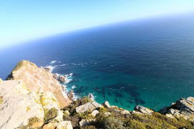 ’20サラリーマンでも行ける南アフリカ⑩【アフリカ大陸最果ての地、喜望峰編2/11PM】