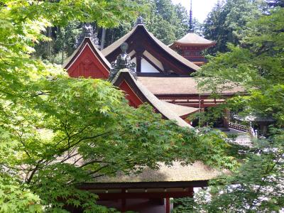 クロスカブで西国観音巡り　13日目　第31番　長命寺