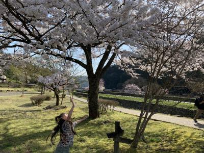 2021春休み福井でお花見2日間♪