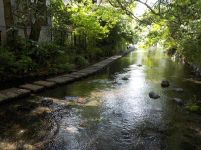 こんなにいい街だとは！　行って良かった、三島１泊の旅。