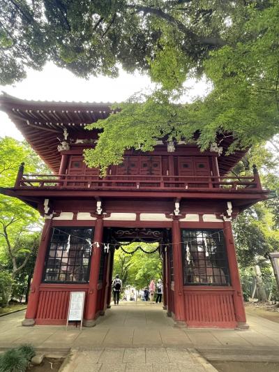 花を探して　本土寺