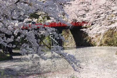 【桜を見に行こう】函館・弘前に行ってきた。2日目～帰宅編