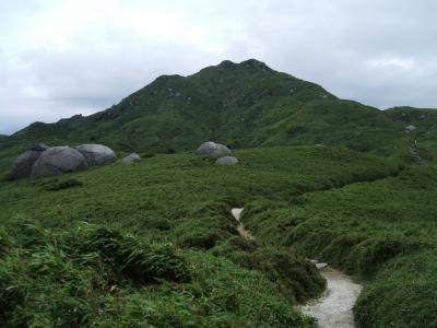 屋久島　宮之浦岳登山と白谷雲水峡