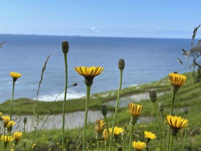 角花家さんの貴重なお塩　能登半島一周（２日目）