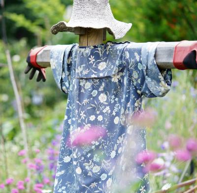 Japan　しあわせの小平オープンガーデンめぐり（その３）　～ミツバチばあやの冒険～