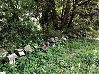 千葉県 海鮮丼 に関する旅行記 ブログ フォートラベル 千葉県 海鮮丼 に関する旅行記 ブログ フォートラベル