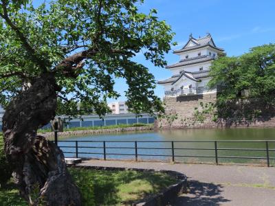 晴れおじさん「ちょっとそこまで」お出掛け日記 (新潟県・新発田市)