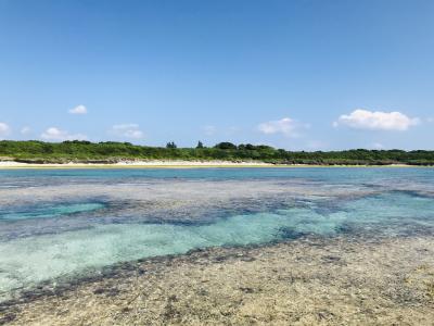 初夏を求めて黒島へ　②黒島ステイその2