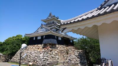 在来線に乗って浜松餃子を食べに行く会(と言っても一人だけど)