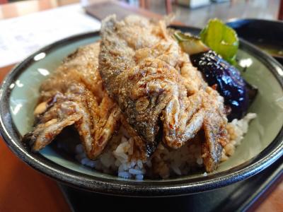 飯田線乗り鉄で旨いもの食べて温泉に入る会(と言っても一人だけど)