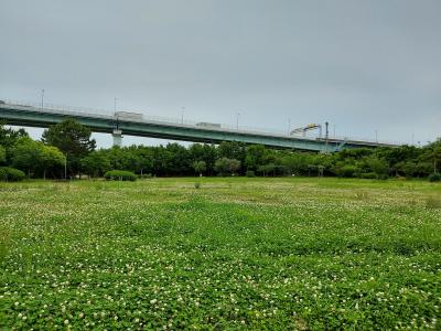 ディスカバリーご近所　工業の町尼崎に、広大な森ができる！１００年後が楽しみです(^-^)尼のパナマ運河もついでに見に行く!