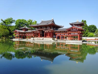 京のお散歩　　19　　平等院～興聖寺