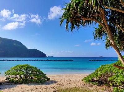 三密避けて阿嘉島に帰ってきた「よ」4泊5日（阿嘉島3日目はみつしま号乗って渡嘉敷島初上陸）