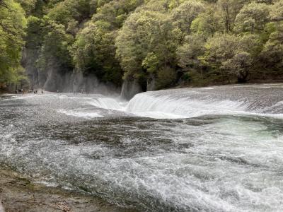 吹割の滝と湯葉すくい体験、食べ放題！