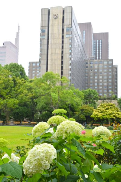 何もしてない自分に謂れなき贅沢を　　　帝国ホテル 東京　に宿泊