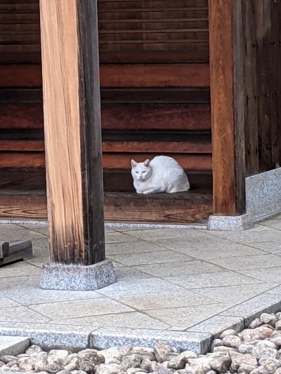 都心の住宅地