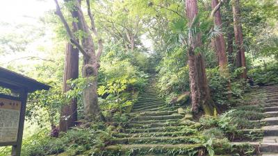 鎌倉に瑞泉寺の『苔の階段』とアジサイを観賞のため観光。