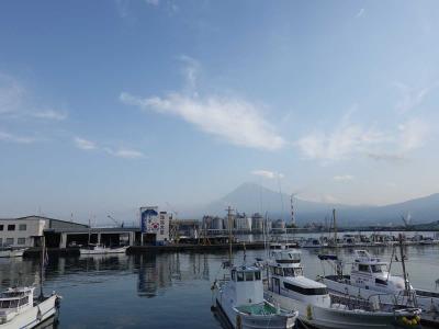 自転車でGO!　2021.05.30 ＝新富士川橋から田子の浦港まで動画を撮りながら走りました＝