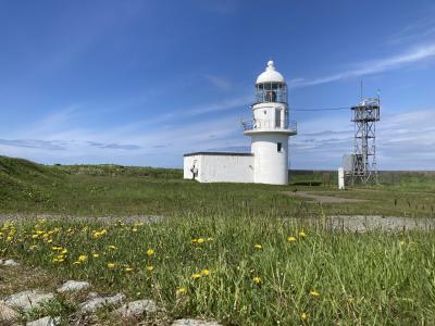 えりもの春はたんぽぽの春でした