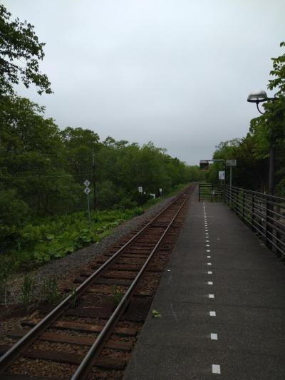 【北海道】 この駅で降りればなんとかなるっしょ！と思う人もいるのだろう。というお話と釧路グルメ