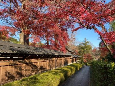 埼玉・川越→飯能紅葉旅2020②～紅葉の能仁寺とクラフトビール～