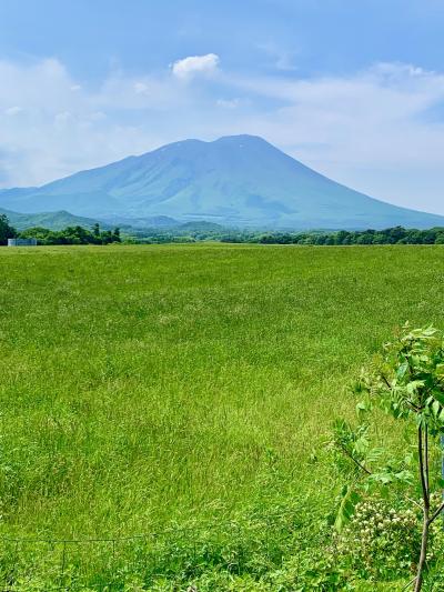 ハンドルを北へ2021.6  初夏の盛岡から安比高原へ