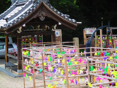 カラフルな御朱印が欲しくて、弟と２人で員弁町の金井神社に。かざぐるまが回ってきれいでした。
