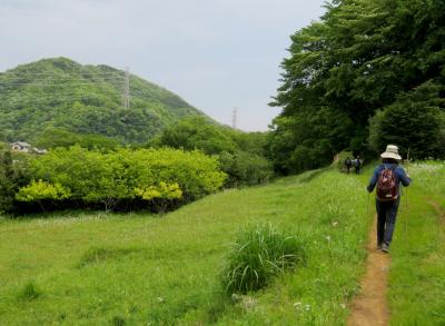 弘法山ー矢倉沢往還（東海道裏街道）を散策、ジンギスカンで満腹