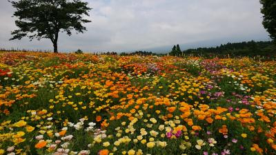 6月の那須フラワーワールドと沼ッ原湿原