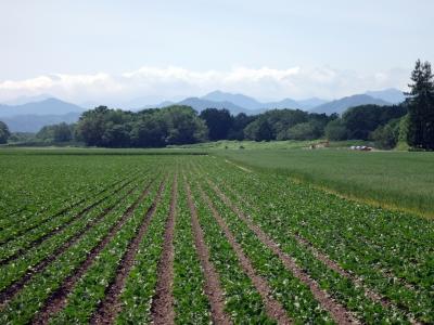 日本の北の果てまで行ってやるぅ  9  広々とした牧場、畑を縫って走って、庭園めぐりの帯広