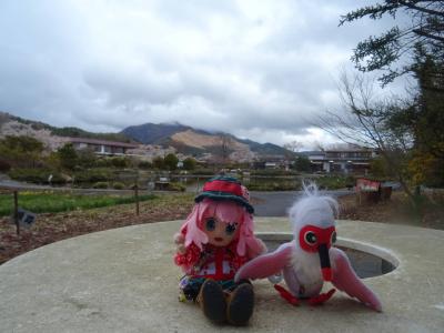 故郷の御山が恋しくて…！　富士・河口湖の春の景色を見に行くヨ！　２日目 #52