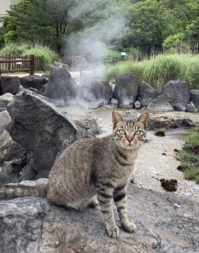 どこかにマイル6回目　長崎　佐世保、雲仙、ハウステンボス　2泊3日