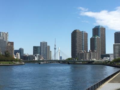 隅田川東岸を東京湾から東京都北区の岩淵水門まで遡る／その１・河口から芭蕉庵史跡展望庭園まで