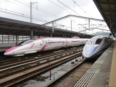 JTBのひかり・こだまでGOGOツアー切符で小倉から新大阪へ新幹線各駅停車編