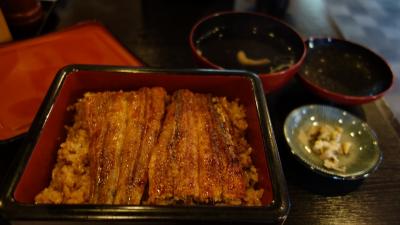 偐家持氏にむなぎを馳走させ 鰻力で山辺の道&川辺の道をジグザグ輪行する