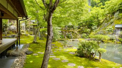 慈恩禅寺のお庭てっ草園