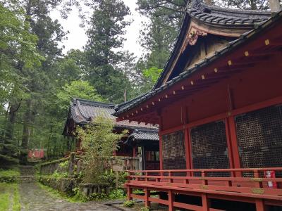 滝尾神社でヤマビルに襲われるぅ！